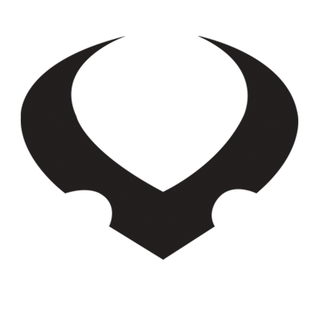Vessel Sport